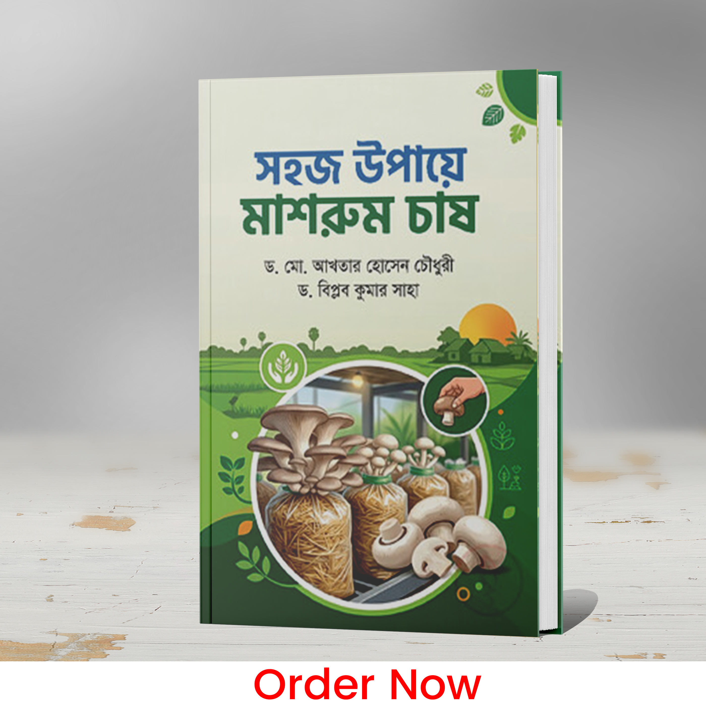 সহজ উপায়ে মাশরুম চাষ